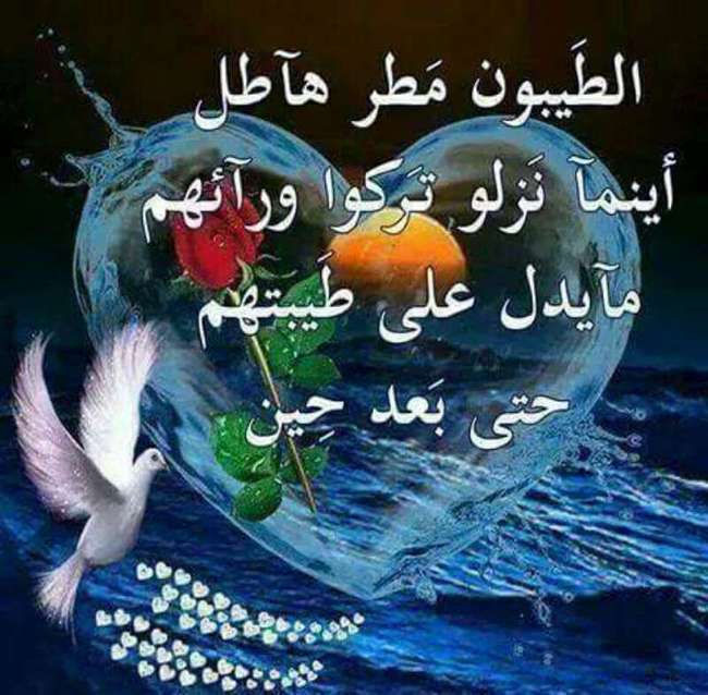 -DBVROq14NLmznzTj9nnR9P26VElgcoy6s8Wm07qnobNC7ji1oawNw==.jpg