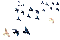 TD8uf2WACoGxZbSO4j9ilrAXVjgZ3ttPfnvmL_dpEAe0Gw65tyxgwMdstv_PXoog.gif