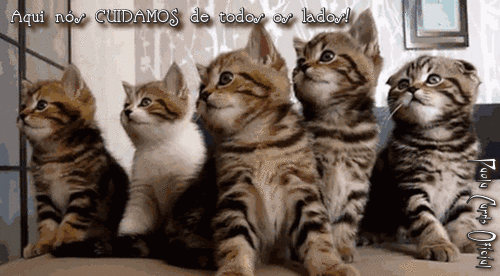 VTedtzjOKwYBa_Sco4WjOp47iD_pSrhAOGN5RlCz
