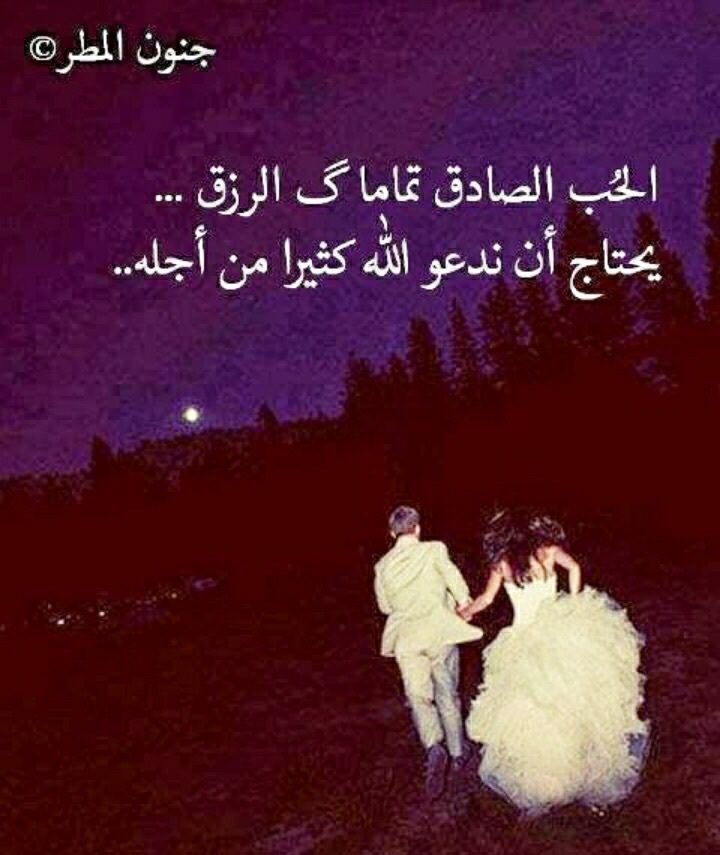 X4QLCYFxX5ORmZWMRVvHo0uhvY4jUBsxa_Q3tQ5e15HGPUo256n4Mw==.jpg