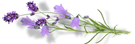 Z-_60URl1arkIA1F2Tsu5xdLkGcyLLP37ScLOr0uqZcnUtcIM5ZhRRHMxJ9_4Dcb.png
