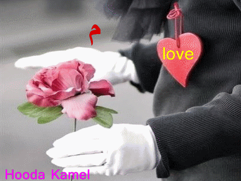 d3I717Vg76HgsF8GzVsvE-g4janbBrfQDfUyFQ-08B5ay6w5KhbZnQ==.gif