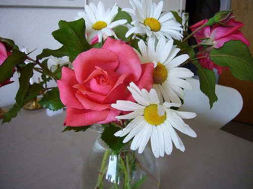 A fine summer's day bouquet, roses Pernille Poulsen, and daisies.