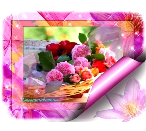 mN-10CAA27cWX_r9a9x3pZzcfeROUFMBRqeLbXG_