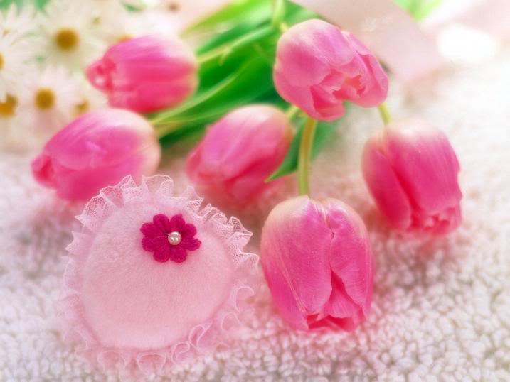 Free Pics Flower Pics Funny Pics