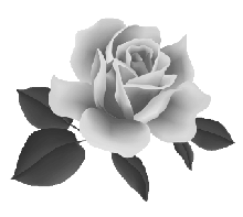 JjuG1TEupf8WFW-UjptZBVeShDwQ5mceS3drfwB9CDXFEQwtk4dZ69LcavrGBhsU.gif