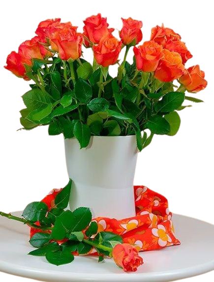 ZJaqfbj5bvPB-IhbZTshr3pWFDVh1_FMw4V9ikC3oNpZcLpsOA2h_TCGEkKSp2pk.png