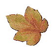 pDN2XhiJ5mxHkKYcneE-B4KIq0jrKHHU1a7jLC60hJJlxFuuipe-t_YxvzywWciz.gif