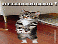 145713